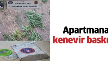 APARTMANA KENEVİR BASKINI!