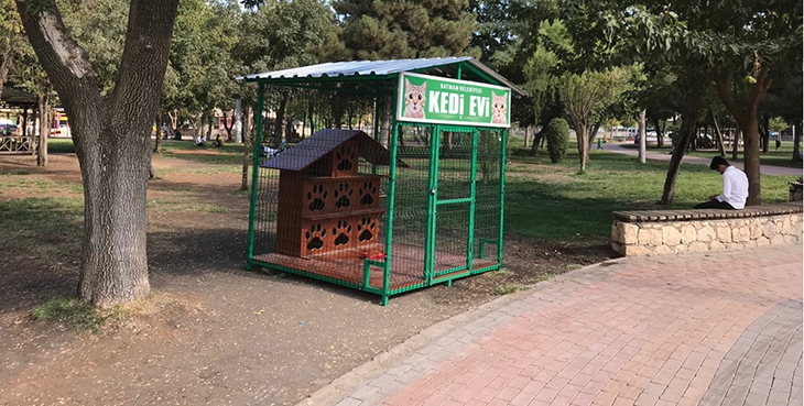 5 PARKA KEDİ EVİ KURULDU