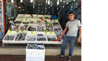 HAMSİ CEP YAKIYOR
