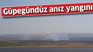 G&Uuml;PEG&Uuml;ND&Uuml;Z ANIZ YANGINI&hellip;