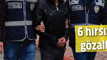 6 HIRSIZA G&Ouml;ZALTI!