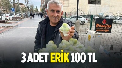 3 adet erik 100 TL