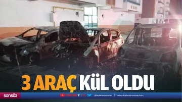 3 ara&ccedil; k&uuml;l oldu