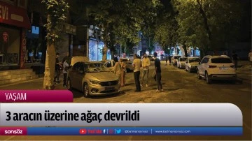 3 aracın &uuml;zerine ağa&ccedil; devrildi