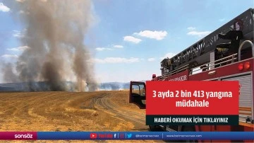 3 ayda 2 bin 413 yangına m&uuml;dahale