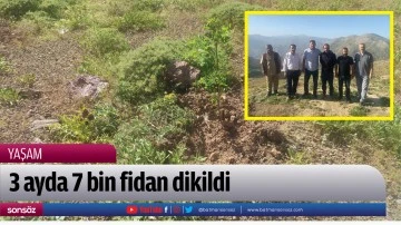 3 ayda 7 bin fidan dikildi