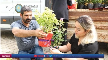 3 bin 250 adet bitki dağıtıldı