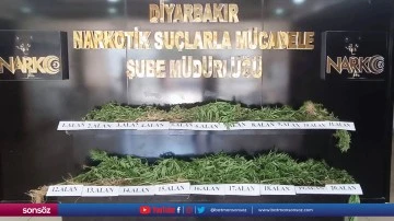 3 bin 267 k&ouml;k Hint keneviri ele ge&ccedil;irildi