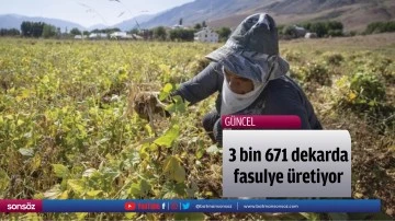 3 bin 671 dekarda fasulye &uuml;retiyor