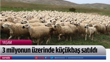 3 milyonun &uuml;zerinde k&uuml;&ccedil;&uuml;kbaş satıldı