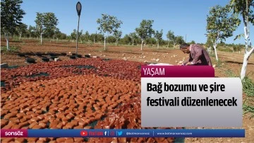 Bağ bozumu ve şire festivali d&uuml;zenlenecek