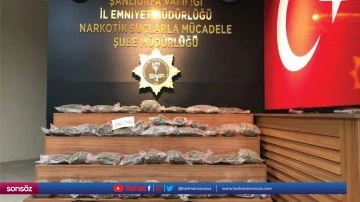 3 ş&uuml;pheli yakalandı