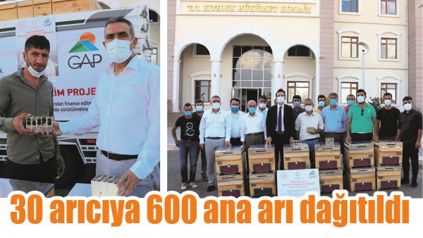 30 ARICIYA 600 ANA ARI DAĞITILDI