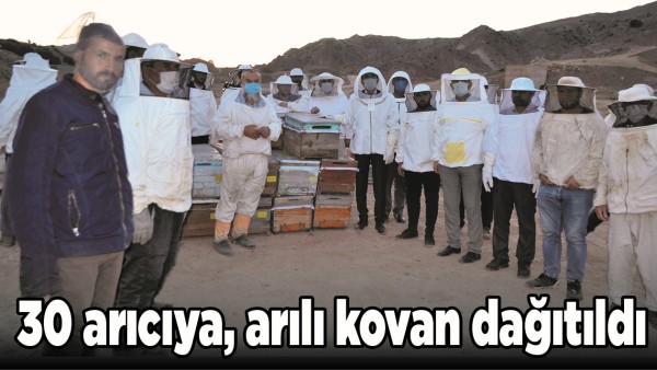 30 ARICIYA, ARILI KOVAN DAĞITILDI
