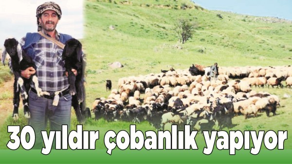 30 YILDIR &Ccedil;OBANLIK YAPIYOR