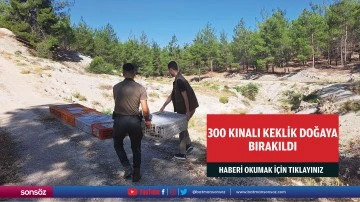 300 kınalı keklik doğaya bırakıldı