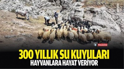 300 yıllık su kuyuları, hayvanlara hayat veriyor