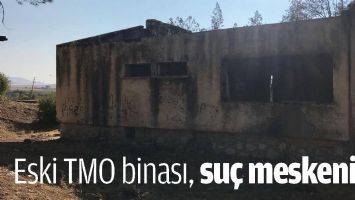 ESKİ TMO BİNASI, SU&Ccedil; MESKENİ...