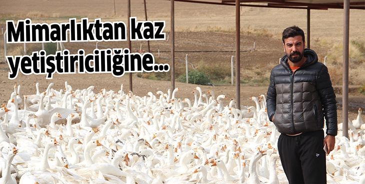 MİMARLIKTAN KAZ YETİŞTİRİCİLİĞİNE&hellip;
