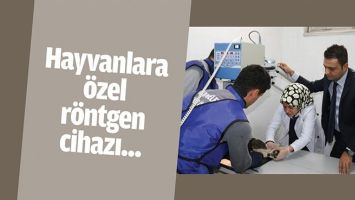 HAYVANLARA &Ouml;ZEL R&Ouml;NTGEN CİHAZI...