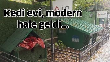 KEDİ EVİ, MODERN HALE GELDİ&hellip;