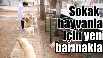 YENİ BARINAKLAR&hellip;