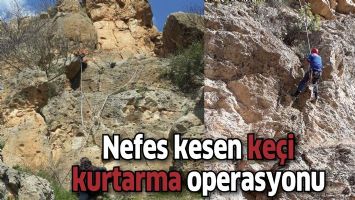 Nefes kesen ke&ccedil;i kurtarma operasyonu