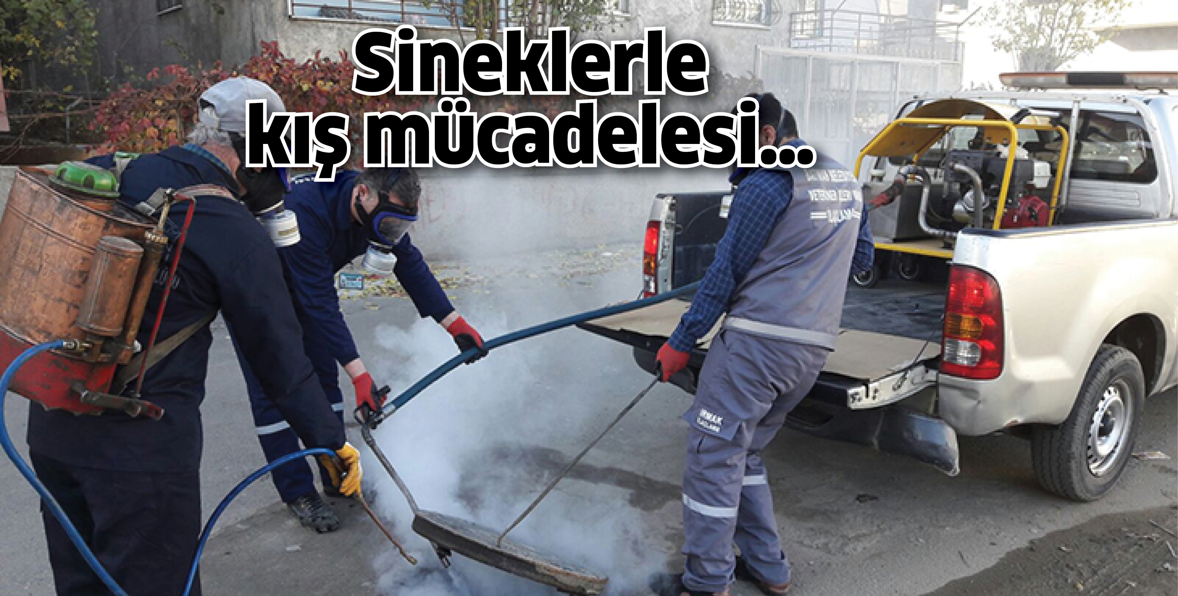 Sineklerle kış m&uuml;cadelesi&hellip;