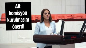 Alt komisyon kurulmasını &ouml;nerdi