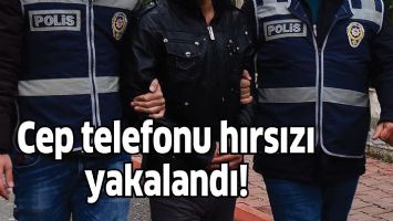 Cep telefonu hırsızı yakalandı!