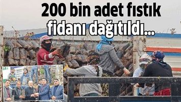 200 bin adet fıstık fidanı dağıtıldı&hellip;