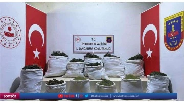 312 kilogram esrar ele ge&ccedil;irildi
