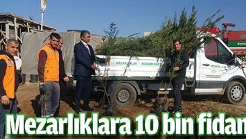 MEZARLIKLARA 10 BİN FİDAN&hellip;