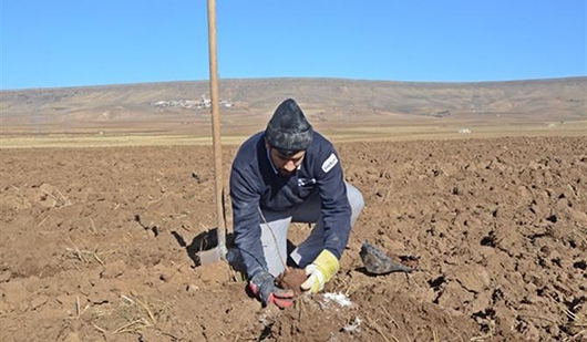 40 Bin Dekar Fıstık Bah&ccedil;esi Kuruldu