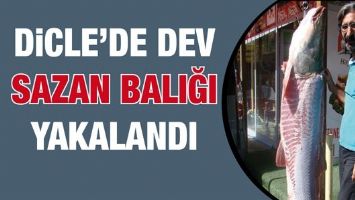 DİCLE&rsquo;DE DEV SAZAN BALIĞI YAKALANDI