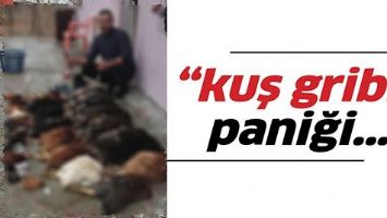 &ldquo;KUŞ GRİBİ&rdquo; PANİĞİ&hellip;