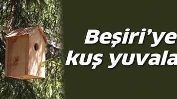 Beşiri&rsquo;ye kuş yuvaları