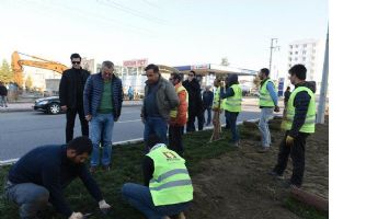 PEYZAJDA İNCELEME&hellip;