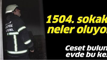1504. SOKAKTA NELER OLUYOR?