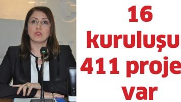 16 kuruluşun 411 projesi var