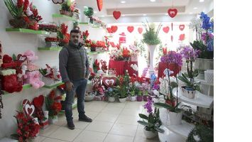 GONCA &Ccedil;İ&Ccedil;EK&Ccedil;İLİK 14 ŞUBAT&rsquo;A HAZIR