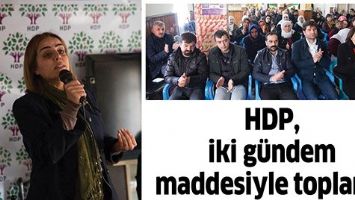 HDP, İKİ G&Uuml;NDEM MADDESİYLE TOPLANDI