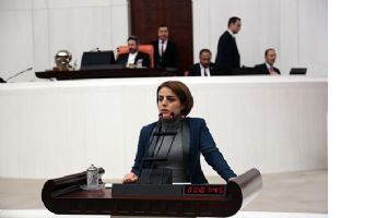 TECRİTTE TUTULAN SEMO'YU BAKANA SORDU