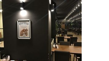 SOFRAM, SOKAK HAYVANLARINI UNUTMADI