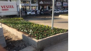 VİZYON &Ccedil;İ&Ccedil;EK A&Ccedil;IYOR