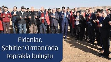 FİDANLAR, ŞEHİTLER ORMANI'NDA TOPRAKLA BULUŞTU