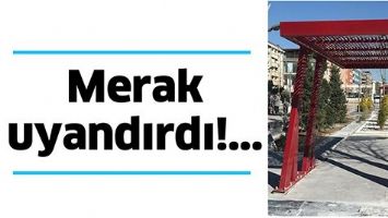 MERAK UYANDIRDI!...
