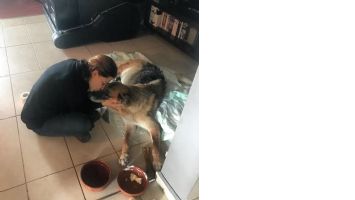 Lale Cangal, &ouml;len k&ouml;peği i&ccedil;in helva kavurup Instagram&rsquo;dan paylaştı