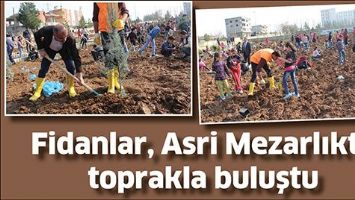 FİDANLAR, ASRİ MEZARLIKTA TOPRAKLA BULUŞTU