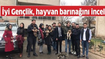 İYİ GEN&Ccedil;LİK, HAYVAN BARINAĞINI İNCELEDİ
